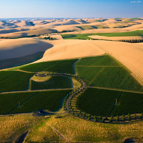 Figgins Winery