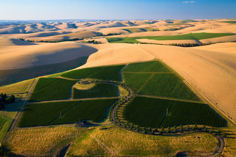 Figgins Winery