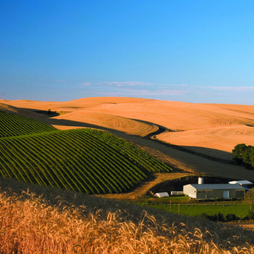 Spring Valley Vineyard