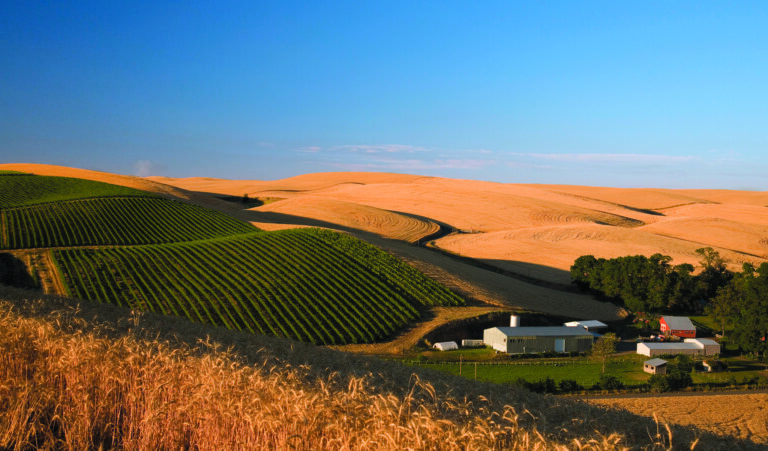 Spring Valley Vineyard
