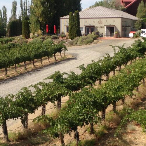 Tapteil Vineyard Winery