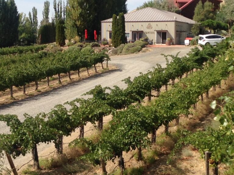 Tapteil Vineyard Winery