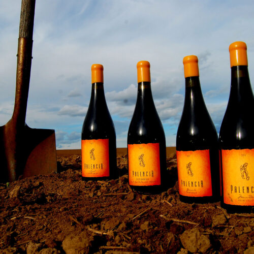 Palencia Winery