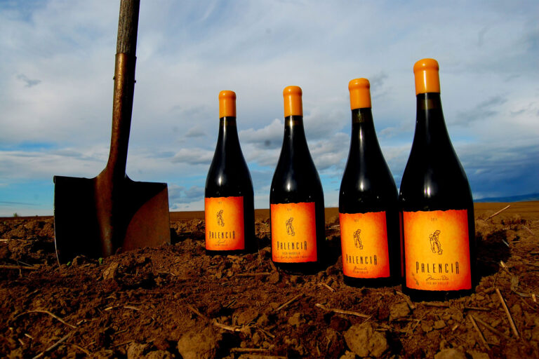 Palencia Winery