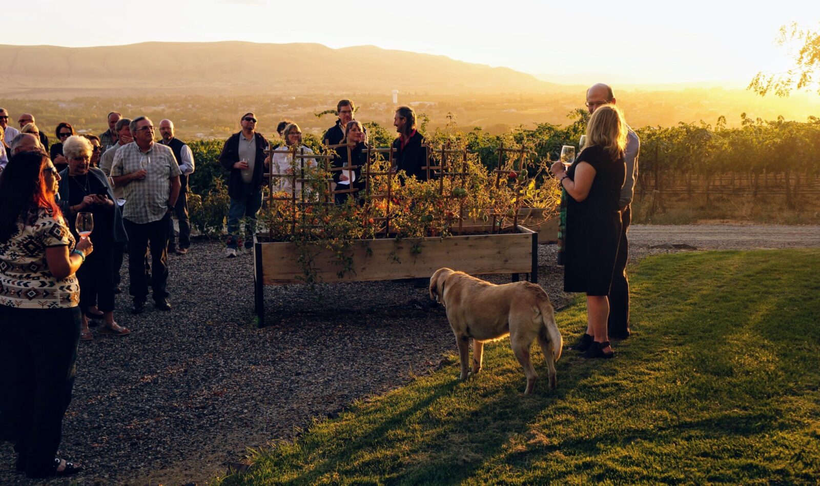 Hightower Cellars