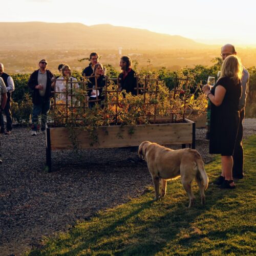 Hightower Cellars