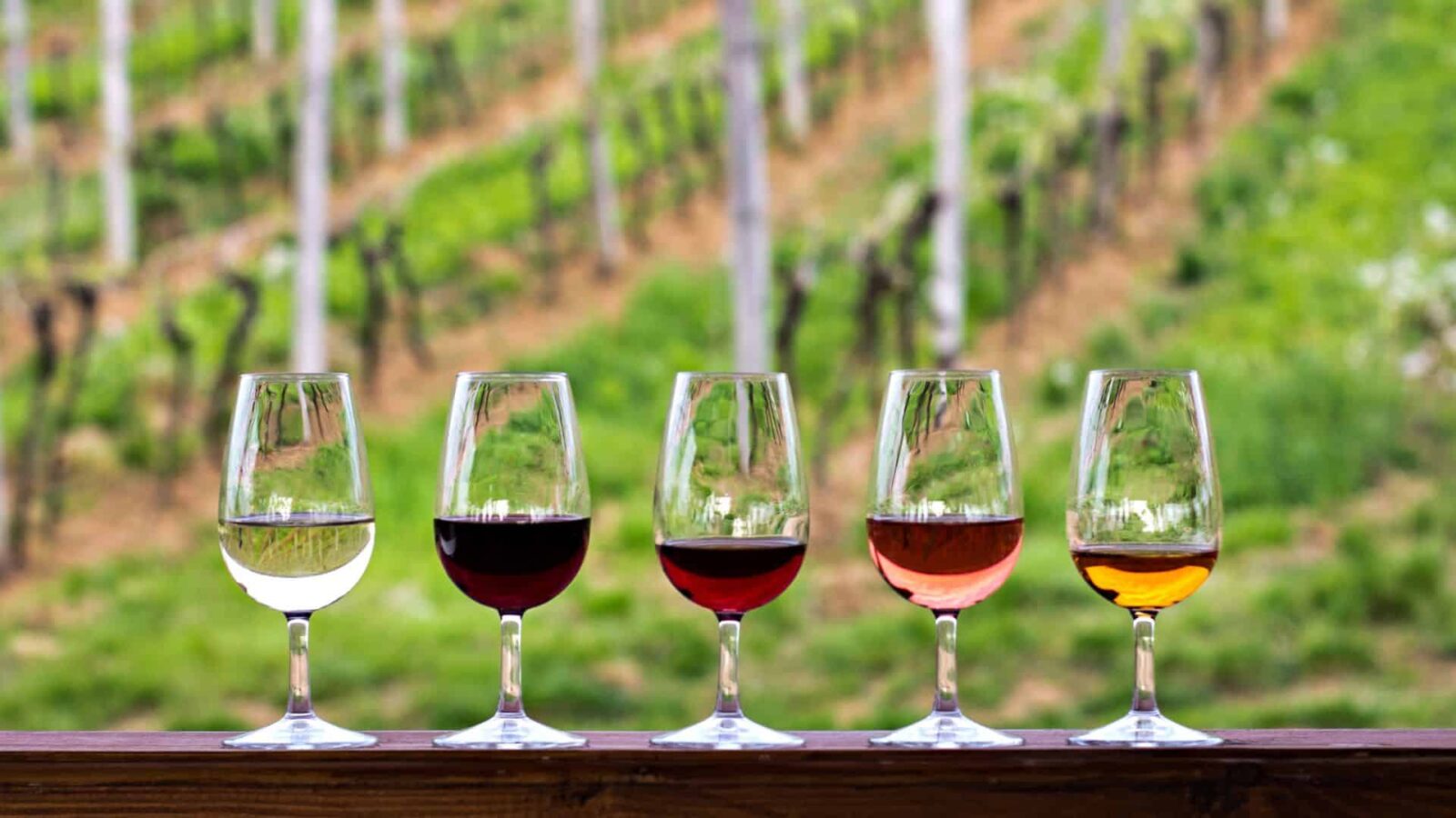 Red Mountain Wine Tour