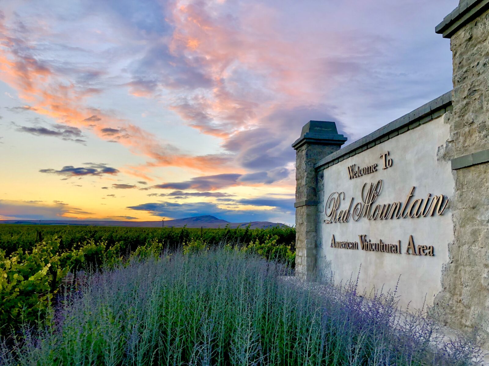 Red Mountain Wine Tour